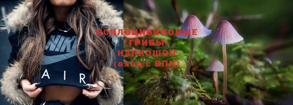 ECSTASY Балабаново